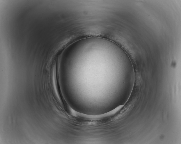 X0000097920068200803211537