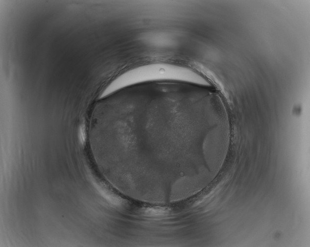 X0000097920069200803211537