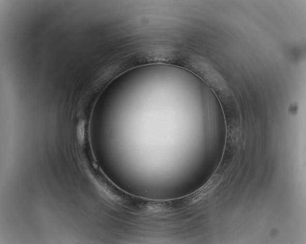 X0000097920070200803211537