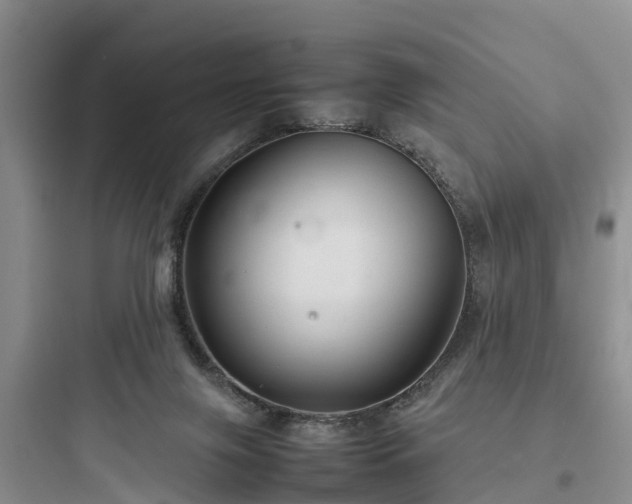 X0000097920071200803211537