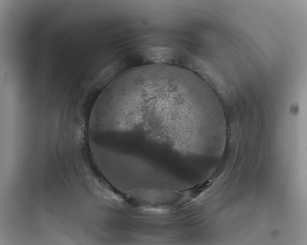 X0000097920073200803211537