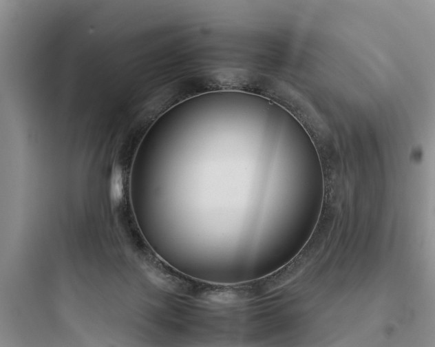 X0000097920075200803211537