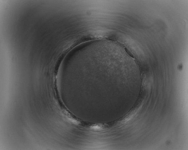 X0000097920076200803211537