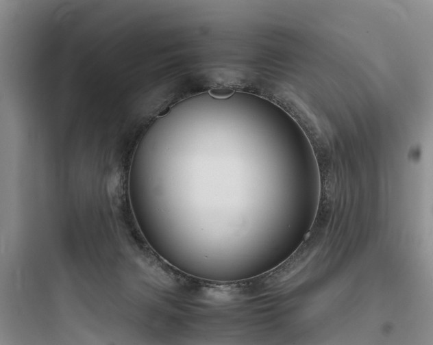 X0000097920079200803211537