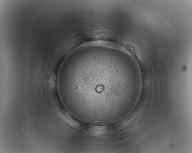 X0000097920081200803211537