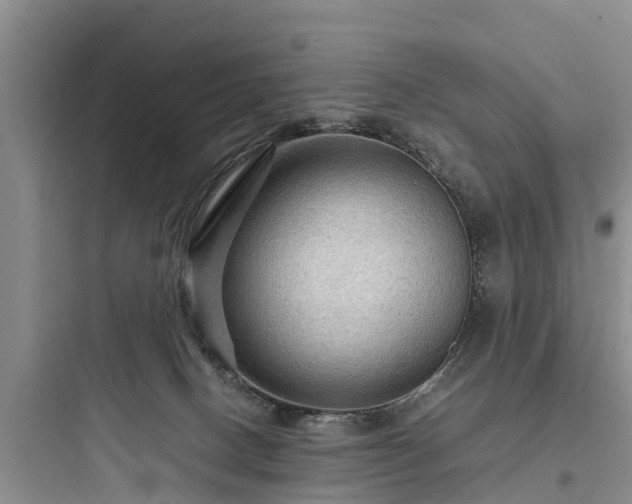 X0000097920082200803211537