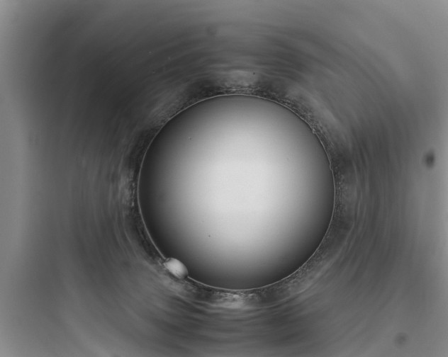 X0000097920083200803211537