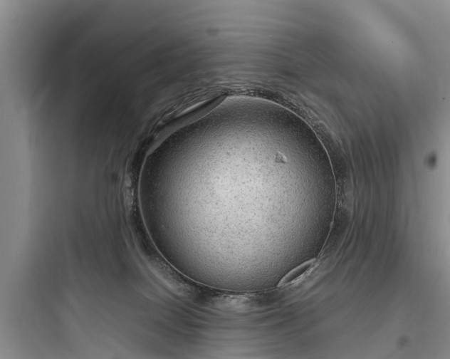 X0000097920086200803211537