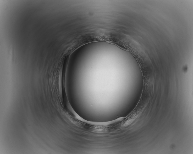 X0000097920088200803211537