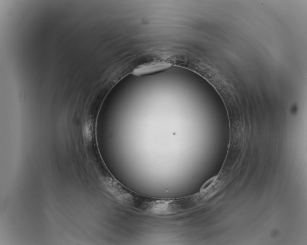 X0000097920090200803211537