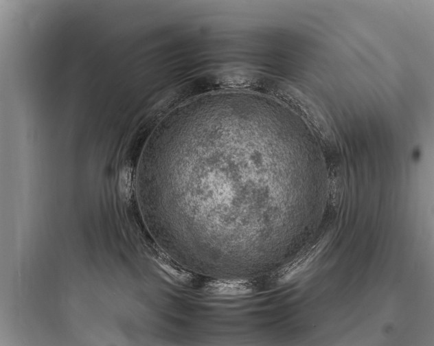 X0000097920093200803211537