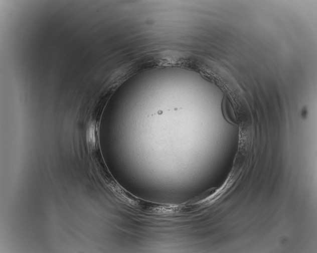 X0000097920094200803211537