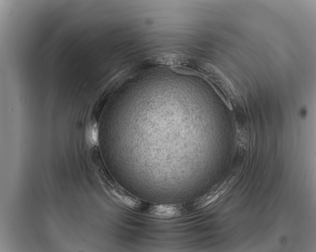 X0000097920095200803211537