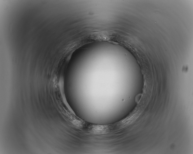 X0000097920096200803211537