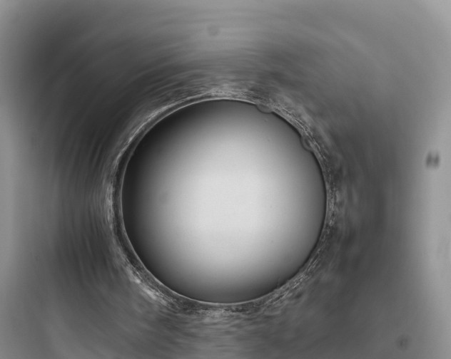 X0000097920098200803211536