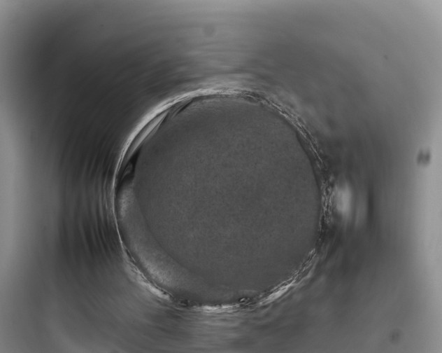 X0000097920100200803211536