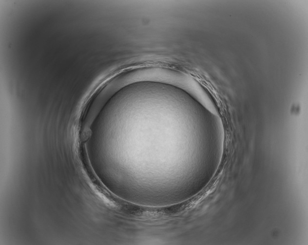 X0000097920101200803211536