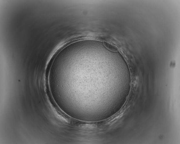 X0000097920102200803211536