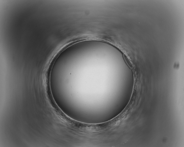 X0000097920103200803211536