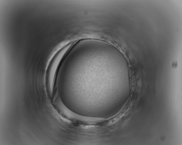 X0000097920104200803211536