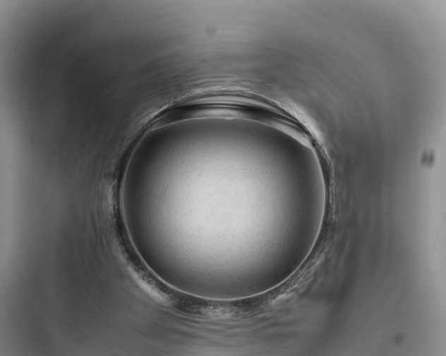 X0000097920105200803211536