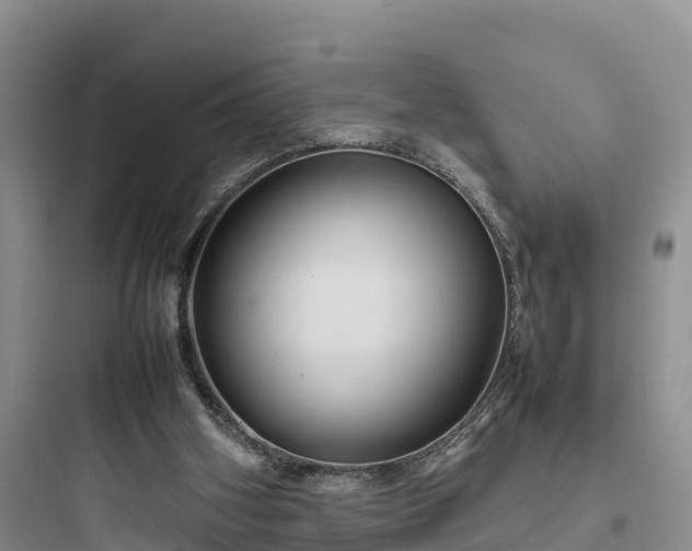 X0000097920106200803211536