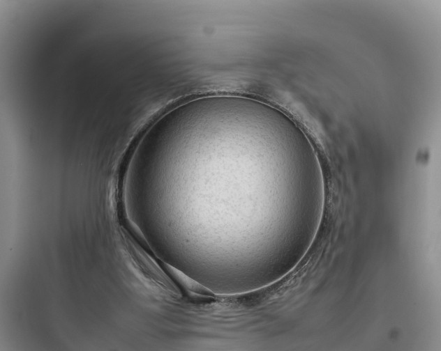 X0000097920107200803211536