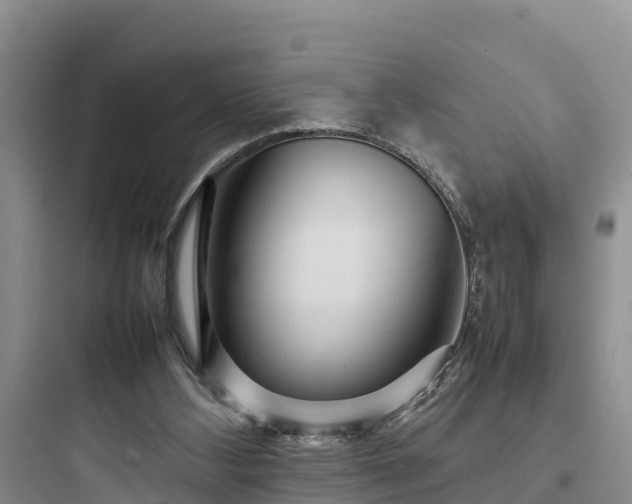 X0000097920108200803211536