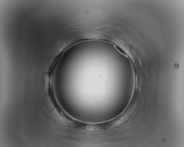 X0000097920109200803211536