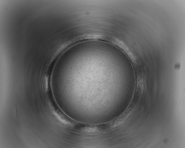 X0000097920110200803211536