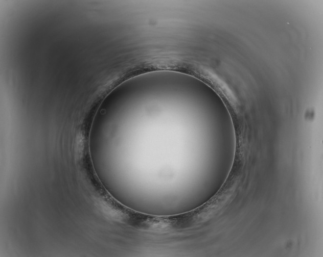 X0000097920113200803211536