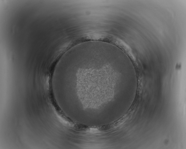 X0000097920114200803211536