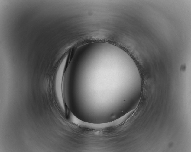 X0000097920116200803211536