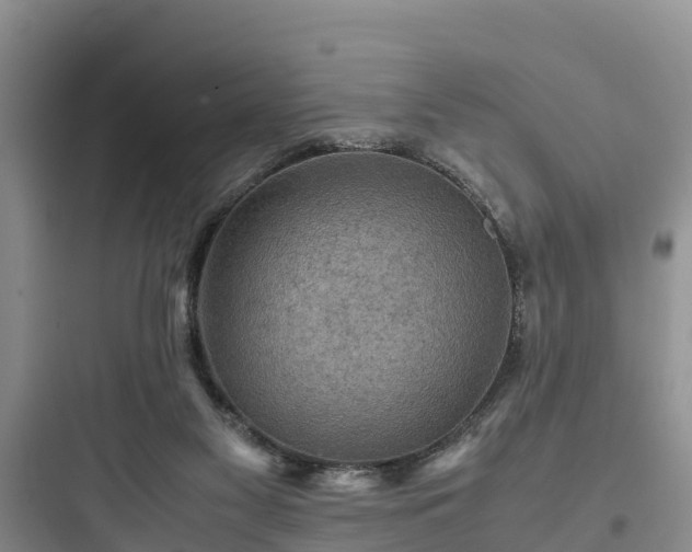 X0000097920117200803211536