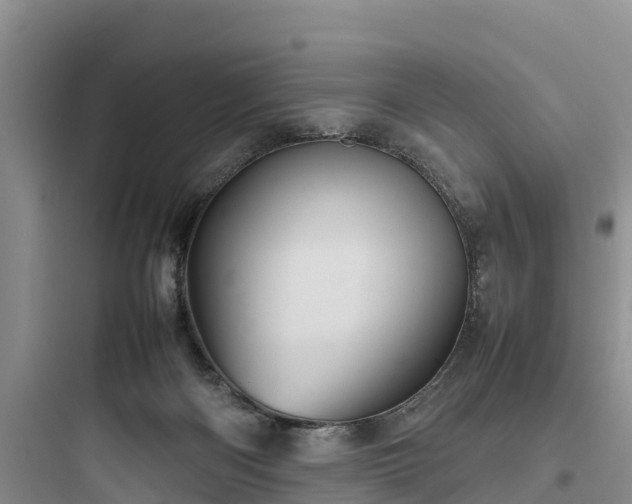 X0000097920122200803211536