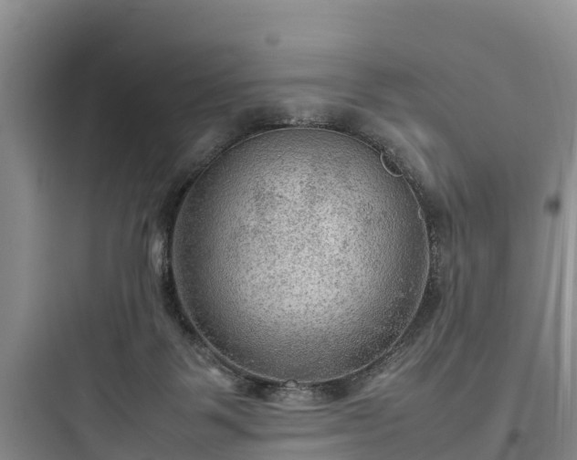 X0000097920123200803211536