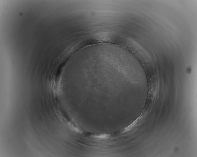 X0000097920124200803211536