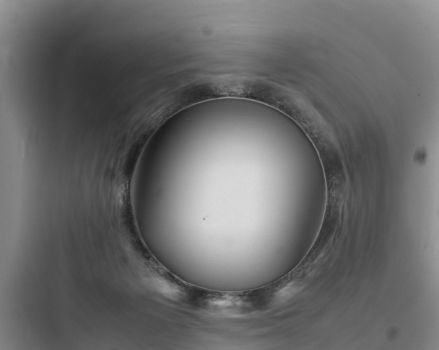 X0000097920125200803211536