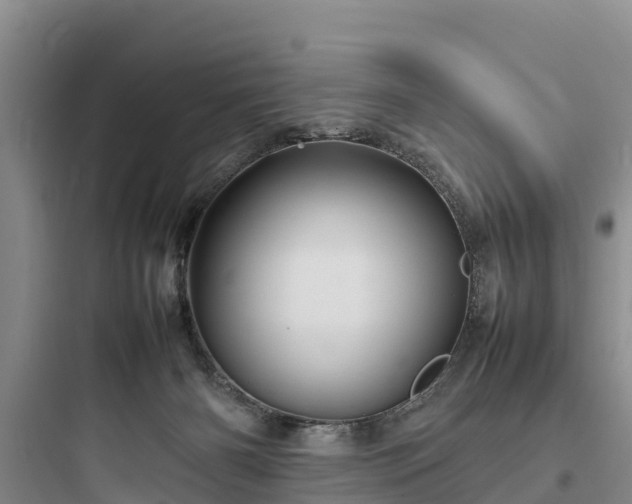 X0000097920126200803211536