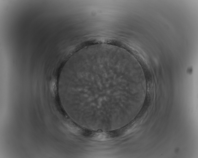 X0000097920127200803211536