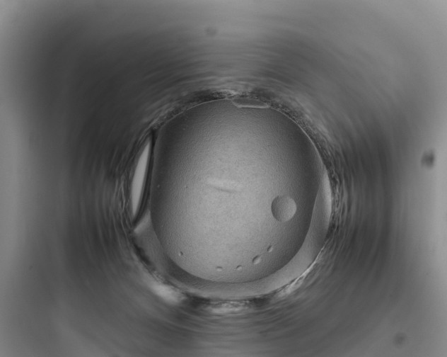 X0000097920128200803211536