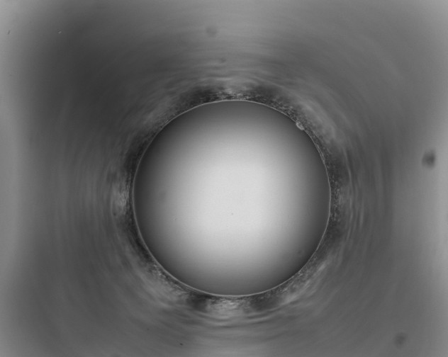 X0000097920129200803211536