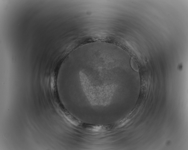 X0000097920130200803211536