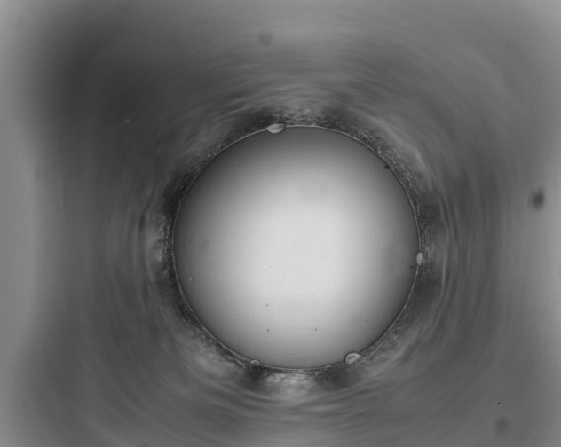 X0000097920133200803211536