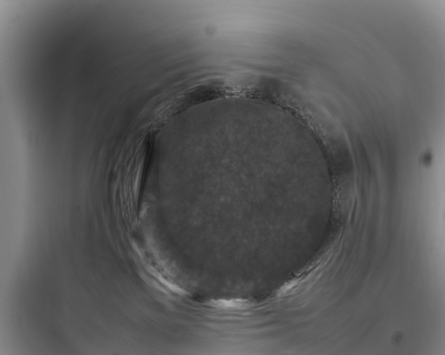 X0000097920137200803211536