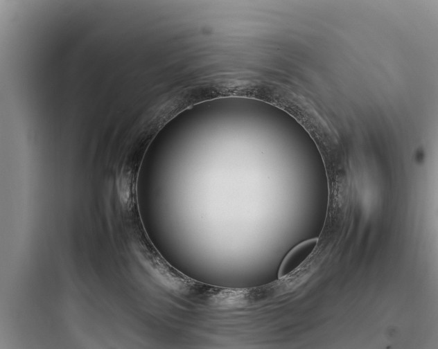 X0000097920138200803211536