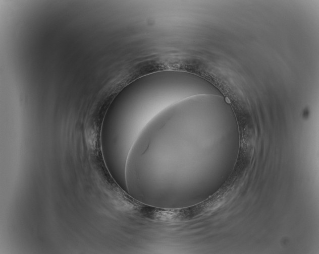 X0000097920139200803211536