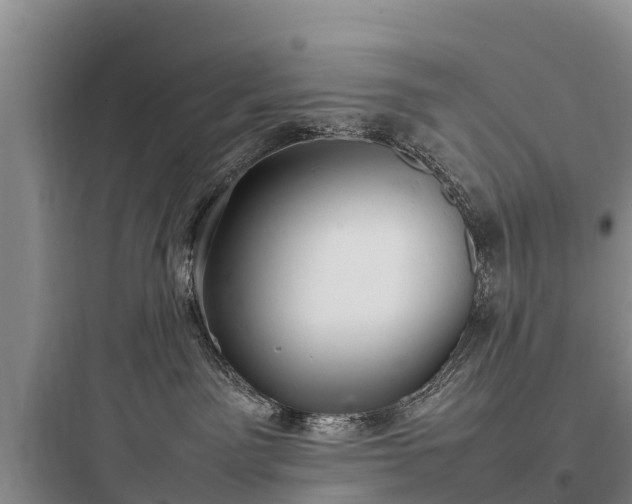 X0000097920141200803211536