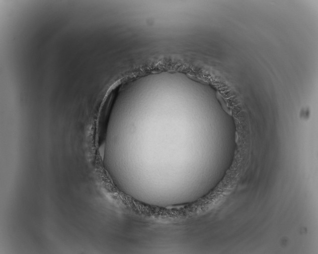 X0000097920144200803211536