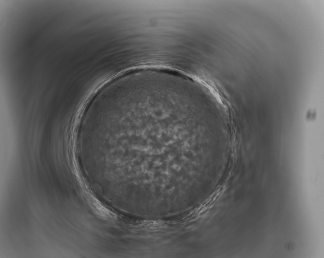 X0000097920145200803211535